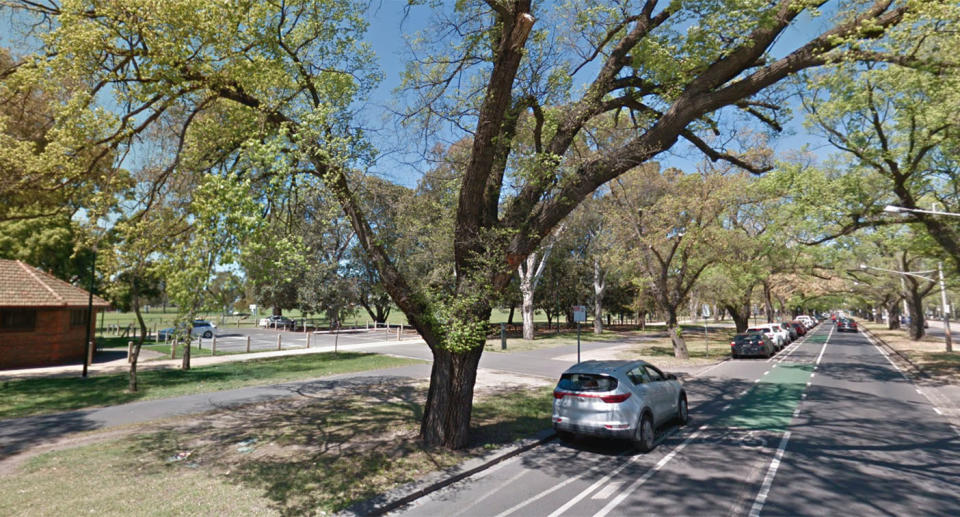 The woman was found under a large fallen tree at Princes Park, Parkville, early on Monday morning. Source: Google Maps