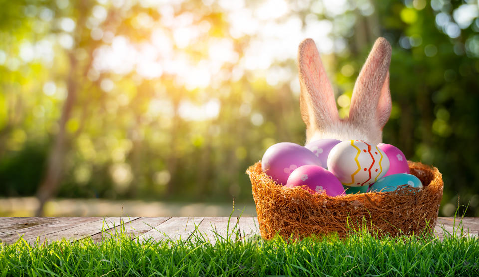 Easter day, wooden table on a background with eggs rabbit in the lawn on a sunny day