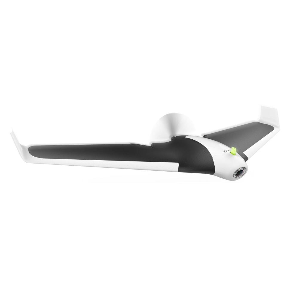 Parrot Disco