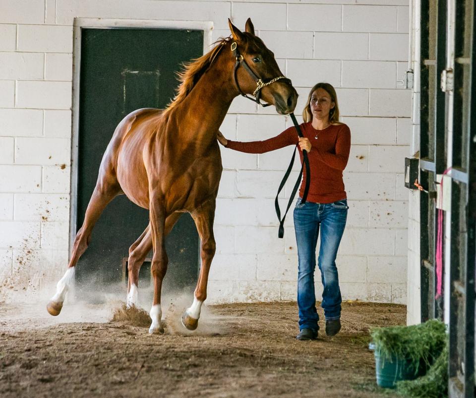 Horse trainer Christy Whitman of New Episode Training Center walks a filly by Connect out of Starlet Storm on Tuesday.