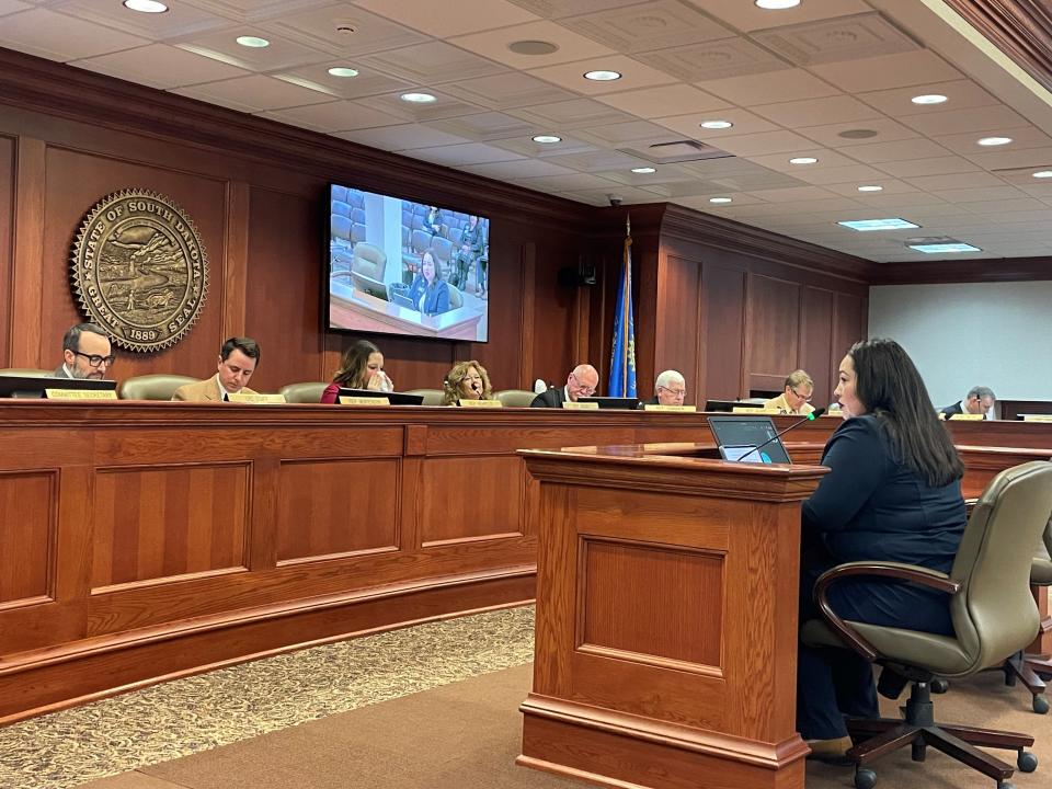 Rep. Peri Pourier, D-Rapid City, speaks in front of the House State Affairs committee about a bill to establish a taskforce on the wellbeing of Indian children.