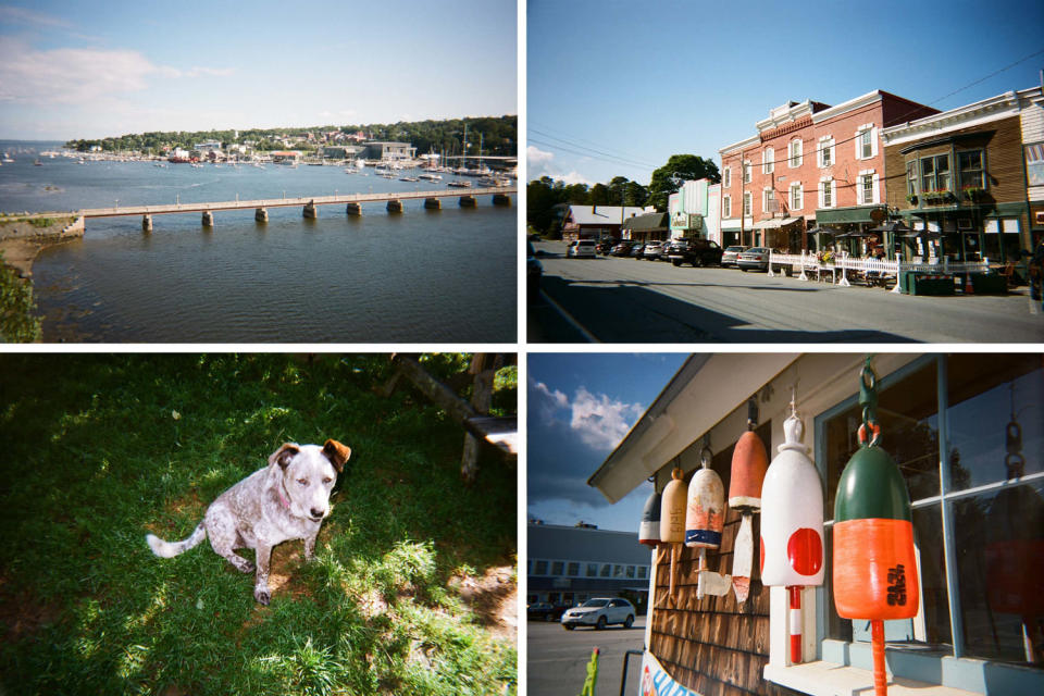 Kalmus visited the seaside town of Belfast, Maine, in July and August to visit the Possibility Alliance homestead as he looked for inspiration on how to best live with the effects climate change.  (Evan Bush / NBC News)