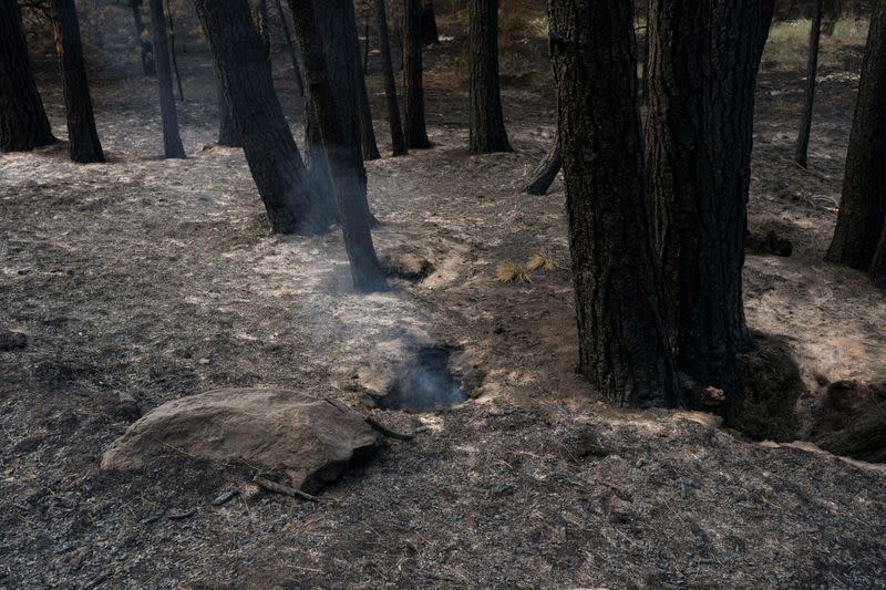 Humo sale desde el suelo después de que el incendio Red Apple dañó un área cerca de Wenatchee