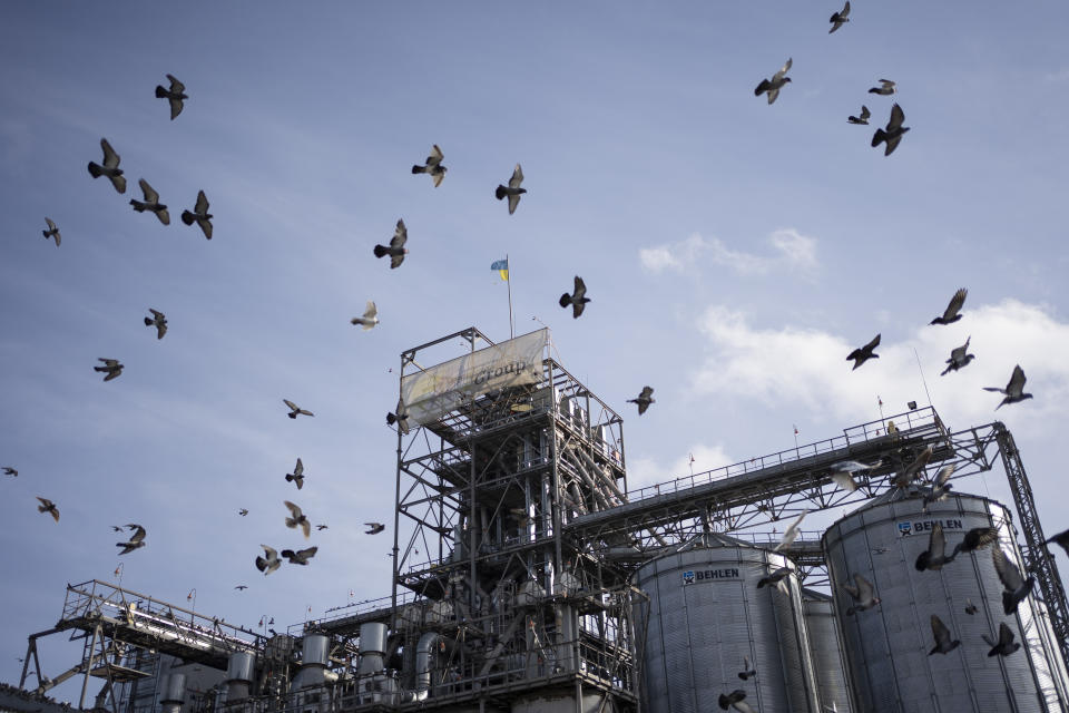 Birds fly around a grain handling and storage facility in central Ukraine, Friday, Nov. 10, 2023. In recent months, an increasing amount of grain has been unloaded from overcrowded silos and is heading to ports on the Black Sea, set to traverse a fledgling shipping corridor launched after Russia pulled out of a U.N.-brokered agreement this summer that allowed food to flow safely from Ukraine during the war. (AP Photo/Hanna Arhirova)
