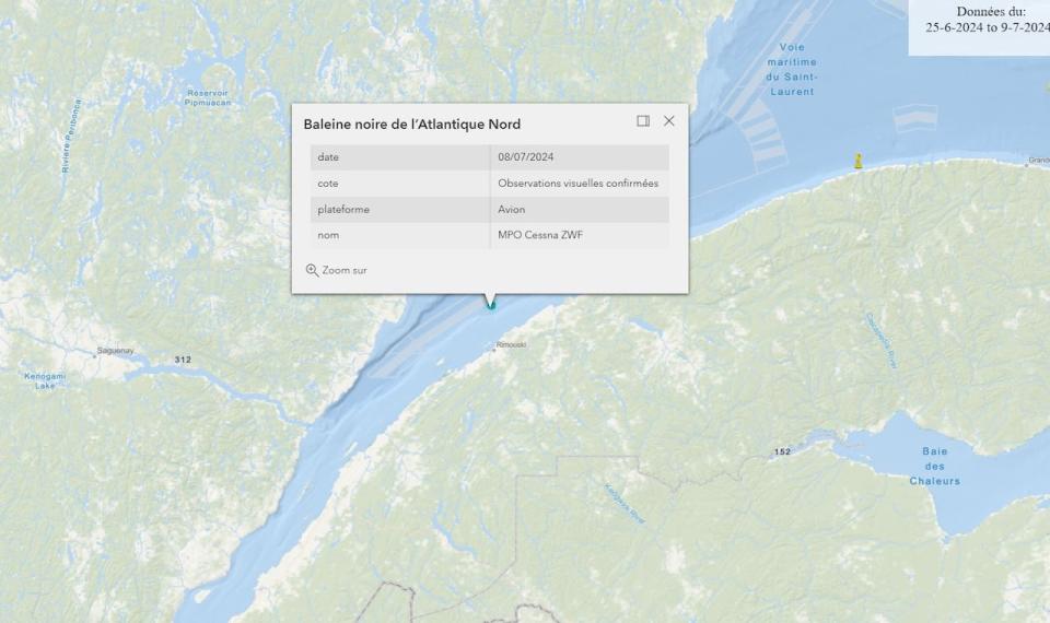 An interactive map from Fisheries and Oceans Canada confirms the observation of the right whale in the St. Lawrence Estuary Monday. 