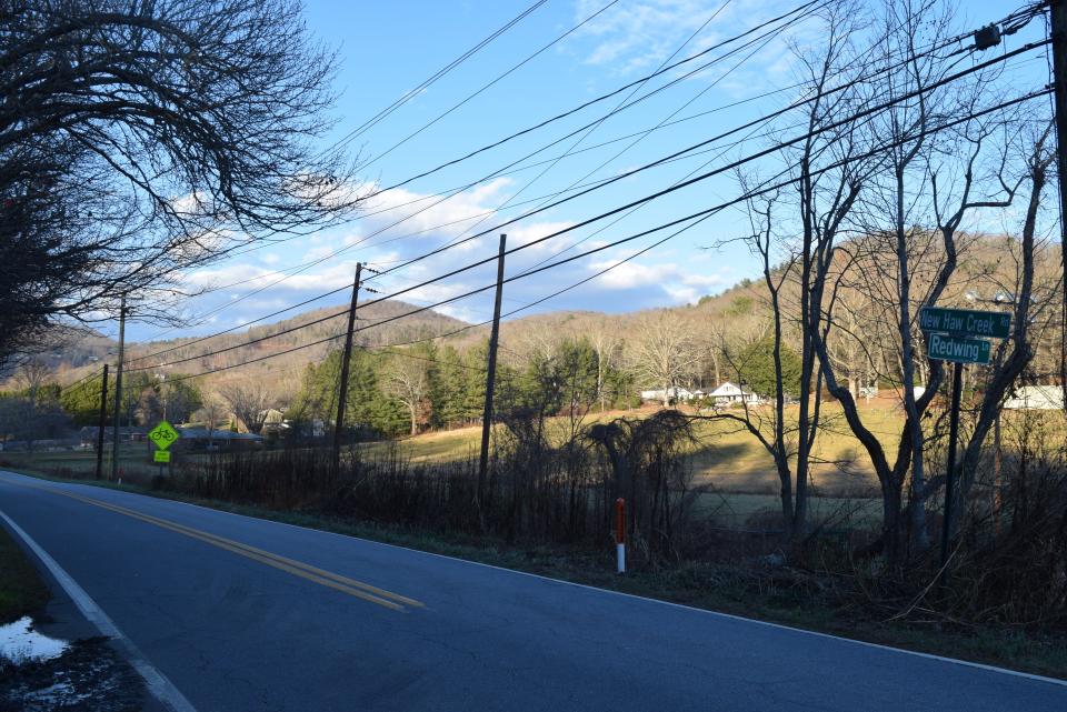 A view of the area proposed for "The Meadows at Haw Creek" at 767 New Haw Creek Road.