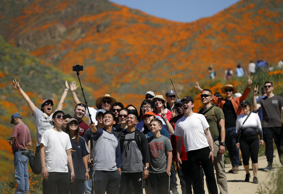 Un grupo de personas posa junto a un paisaje lleno de flores silvestres, el lunes 18 de marzo de 2019, en Lake Elsinore, California. (AP Foto/Gregory Bull)