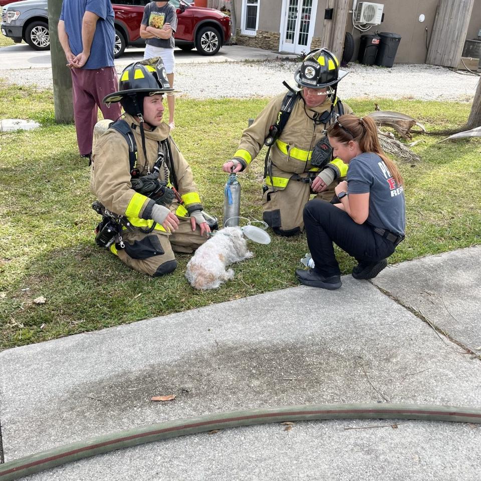 Palm Bay Fire Rescue said it received reports of the fire Tuesday afternoon on Emerson Drive.