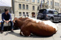 <p>A farmer and his cow, Cilly, wait for results of the Milchgipfel, or the Milk summit, which took place at the German Ministry of Food and Agriculture in Berlin on May 30, 2016. Minister of Food and Agriculture Christian Schmidt met with representatives of agriculture and dairy farming to evaluate measures to help dairy farmers in light of plummeting milk prices. (Maurizio Gambarni/EPA) </p>