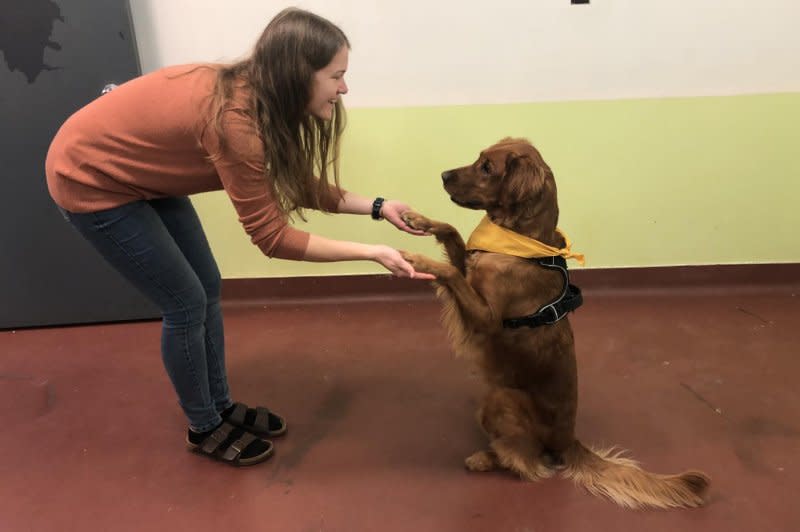 The study’s first author, Laura Kiiroja, a doctoral student at Dalhousie University in Halifax, Nova Scotia, Canada, plays with Ivy, a red golden retriever, who was used in the research. Photo courtesy of Laura Kiiroja