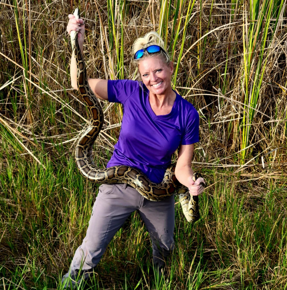 Former Indiana real estate broker Amy Siewe was so compelled by the python problem that she moved to Naples and began full-time python hunting. I was “totally hooked,” said Siewe, who uses the moniker "The Python Huntress."