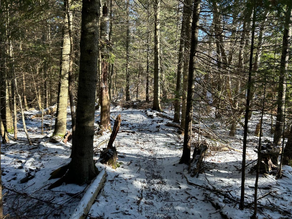 Part of the Ashmun Creek Trail is shown.