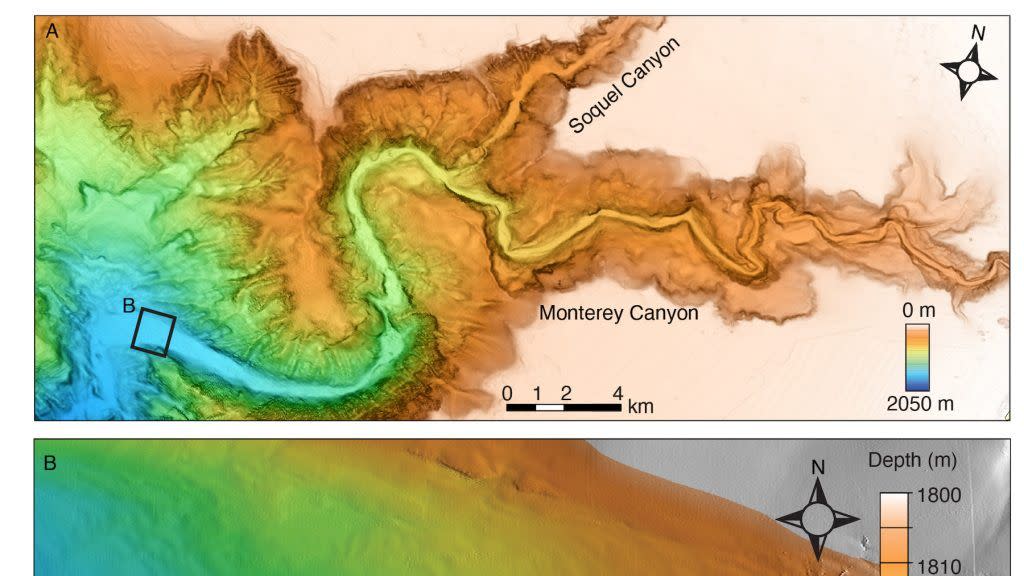 seafloor