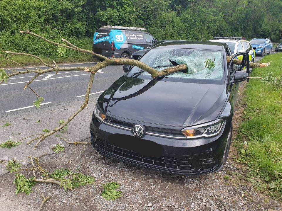 Police shared a picture of the Sussex driver’s ‘very lucky escape’ (Sussex Police)