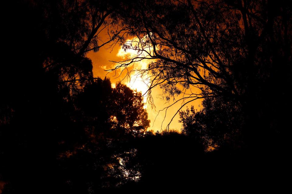 Sicily, Italy. 18th July, 2023. MONTE BONIFATO CONTINUES TO BURNING IN ALCAMO THE SCIROCCO WIND FEEDS THE FLAMES IN SMOKE HECTARES OF FOREST In the photo the wood of Monte Bonifato has been burning in smoke for two days hectares of wood, the fire service of the Alcamo forestry has no means to be able to operate, forestry canadairs and helicopters operated throughout the day Credit: Independent Photo Agency Srl/Alamy Live News