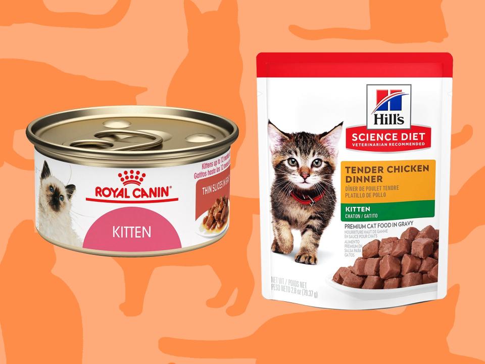 A can of Royal Canin and a pouch of Hill's wet kitten food on an orange background patterned with cat silhouettes.
