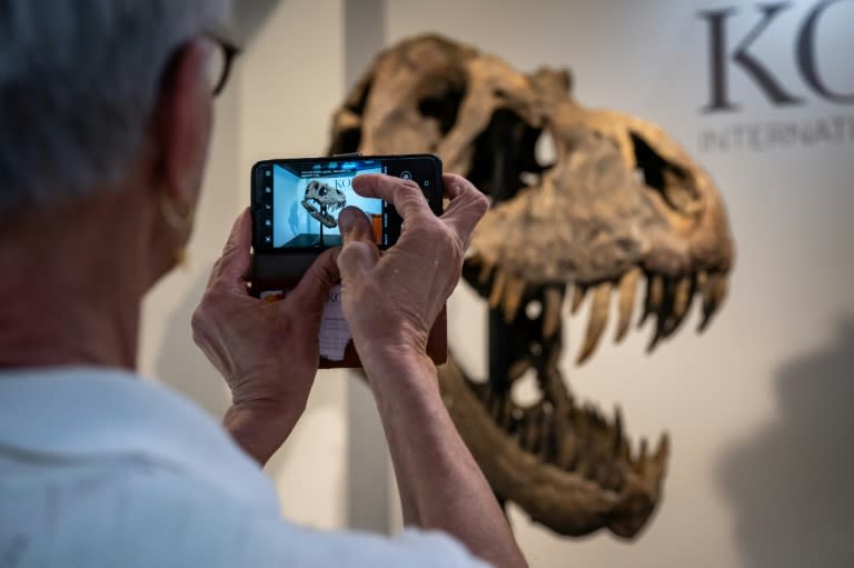 Una persona fotografía el cráneo de un tiranosaurio rex el 18 de abril de 2023 en una casa de subastas en Zúrich (Fabrice Coffrini)