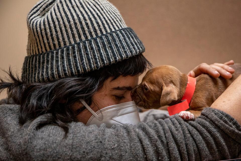 Juniper Fleming, 31, holds Moe, one of four puppies being cared for at Wilson Veterinary Hospital in Washington on Tuesday, Jan. 25, 2022.