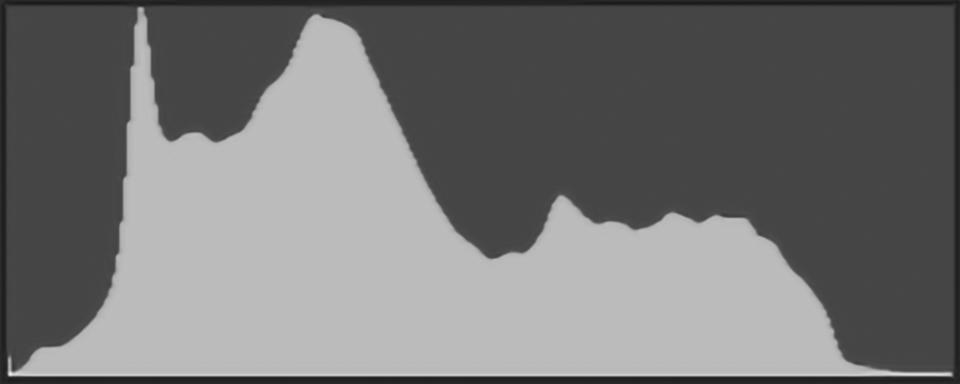 Histogram graph