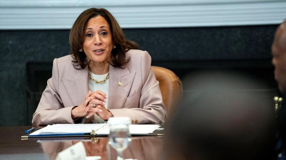 PHOTO: Vice President Kamala Harris speaks during a roundtable on criminal justice in the Roosevelt Room at the White House, April 25, 2024.  (Bonnie Cash/Reuters)