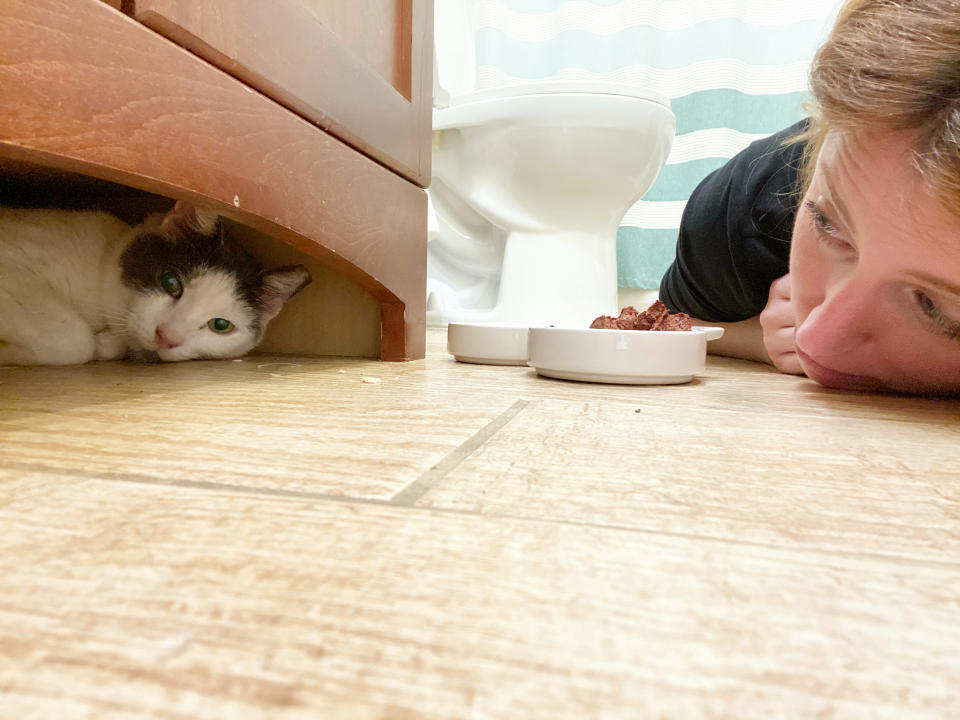 Becky Horvath used her quarantine to foster a cat. (Photo: Becky Horvath)