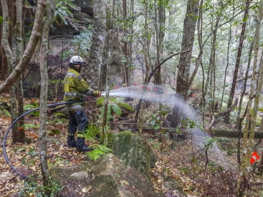 Specialist firefighters were winched into the gorge to set up an irrigation system to provide moisture for the grove
