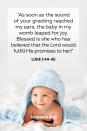 <p>“As soon as the sound of your greeting reached my ears, the baby in my womb leaped for joy. Blessed is she who has believed that the Lord would fulfill His promises to her!” — Luke 1:44-45</p><p><strong>The Good News</strong>: God asks that our faith only be as big as a mustard seed — even if what you’re praying for seems like it will take more than that. </p>