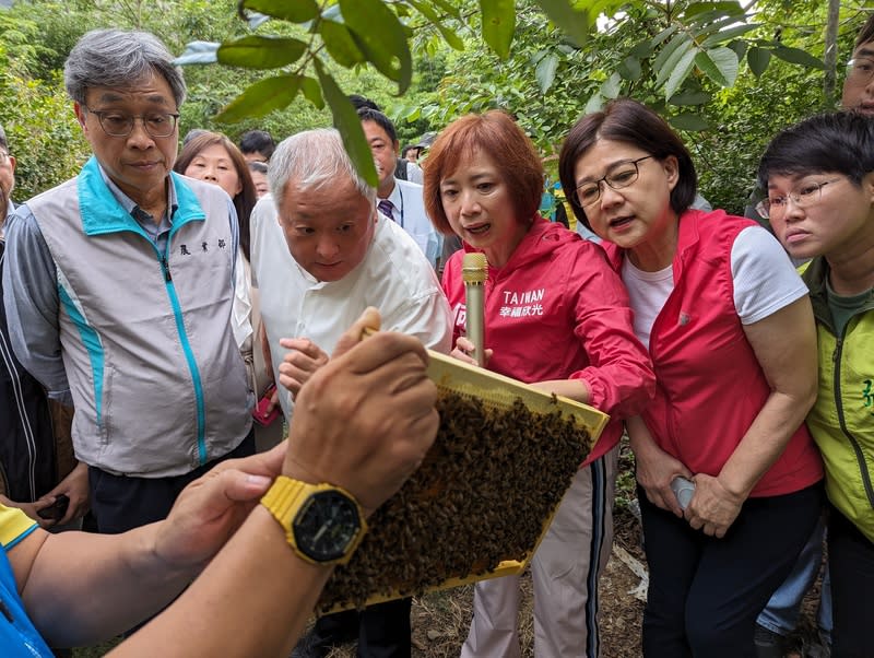 陳駿季赴台中了解蜂農受損情形 今年荔枝、龍眼開花率偏低，恐造成蜂蜜產量驟減， 民進黨籍立委何欣純（前中）16日邀集農業部代理部 長陳駿季（前左）等人，到台中太平區了解蜂農受損 情形。 中央社記者蘇木春攝  113年4月16日 