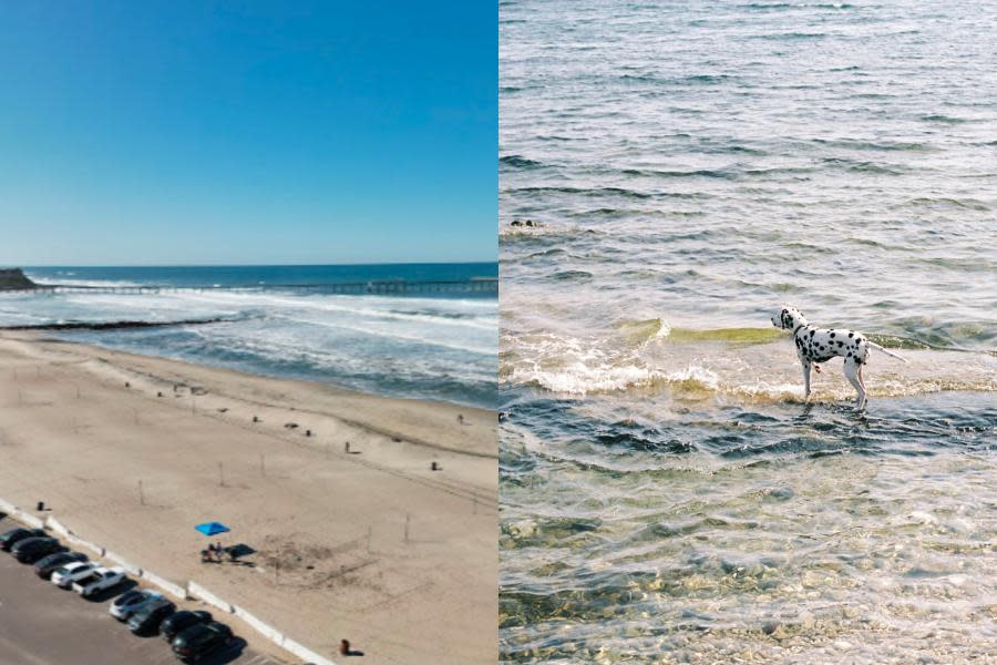 Desaparece mujer en San Diego después de llevar a pasear a su perro a la playa 