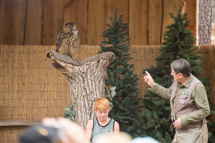 Bearizona Raptor Program in Williams, Arizona