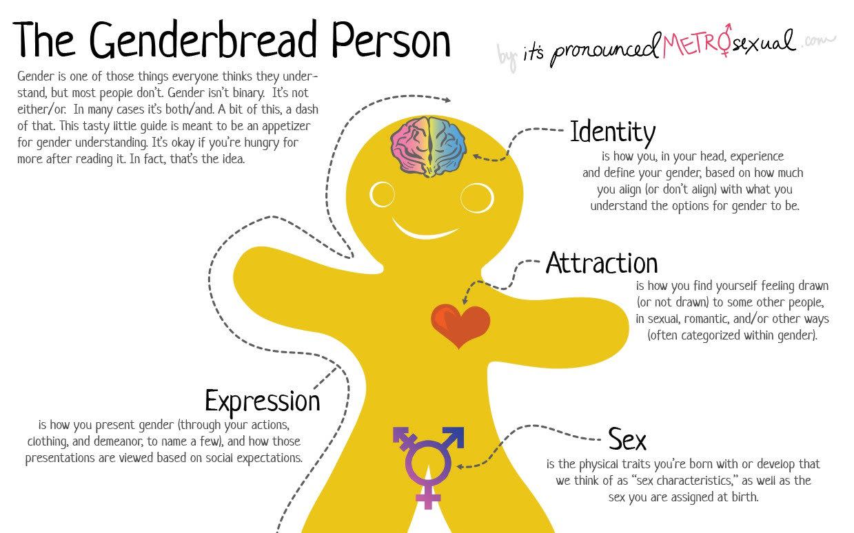 'Genderbread Person' training for civil servants branded 'unscientific nonsense'