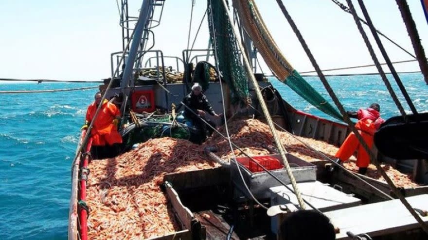 La pesca, otro segmento que atrae la intención de compra de China.