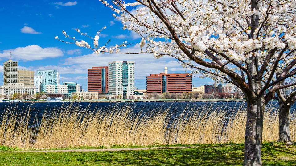 Cambridge, Massachusetts skyline in the spring.