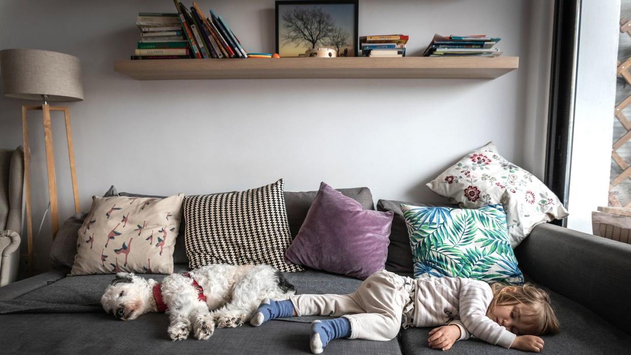 kid and dog asleep on sleeper sofa