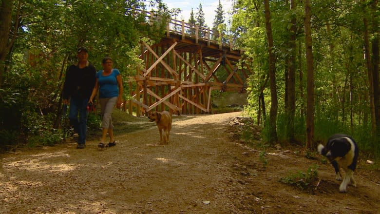 Bridges re-opened in Mill Creek ravine after rehab work