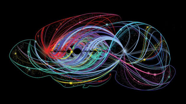 An artist’s rendering charts cortical and thalamic connections in the mouse brain. (Illustration by Benedicte Rossi for Allen Institute)