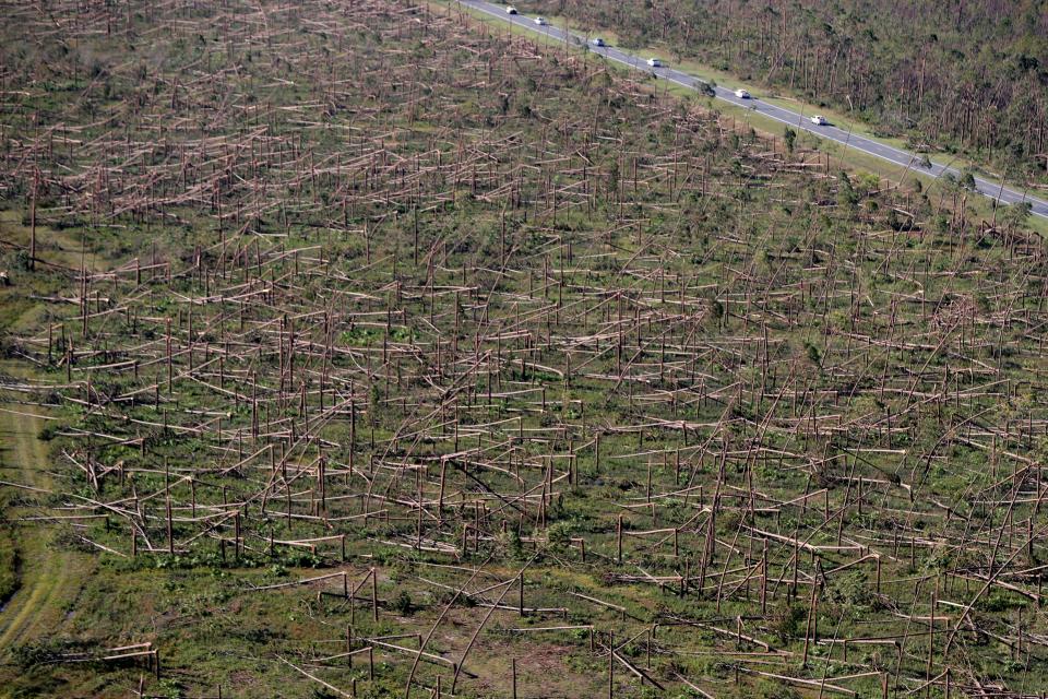 In this Oct. 12, 2018, file photo, downed trees are seen from the air on Tyndall Air Force Base in the aftermath of Hurricane Michael near Mexico Beach, Fla. It was once argued that the trees would help save Florida's Panhandle from the fury of a hurricane, as the acres of forests in the region would provide a natural barrier to savage winds that accompany the deadly storms.