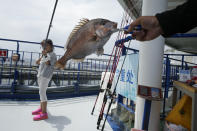 A child holds up a fishing pole with a red seabream fished from a rearing pen at the Genghai No. 1 facility along the coastline of Yantai in eastern China's Shandong province on Tuesday, Aug. 22, 2023. (AP Photo/Ng Han Guan)