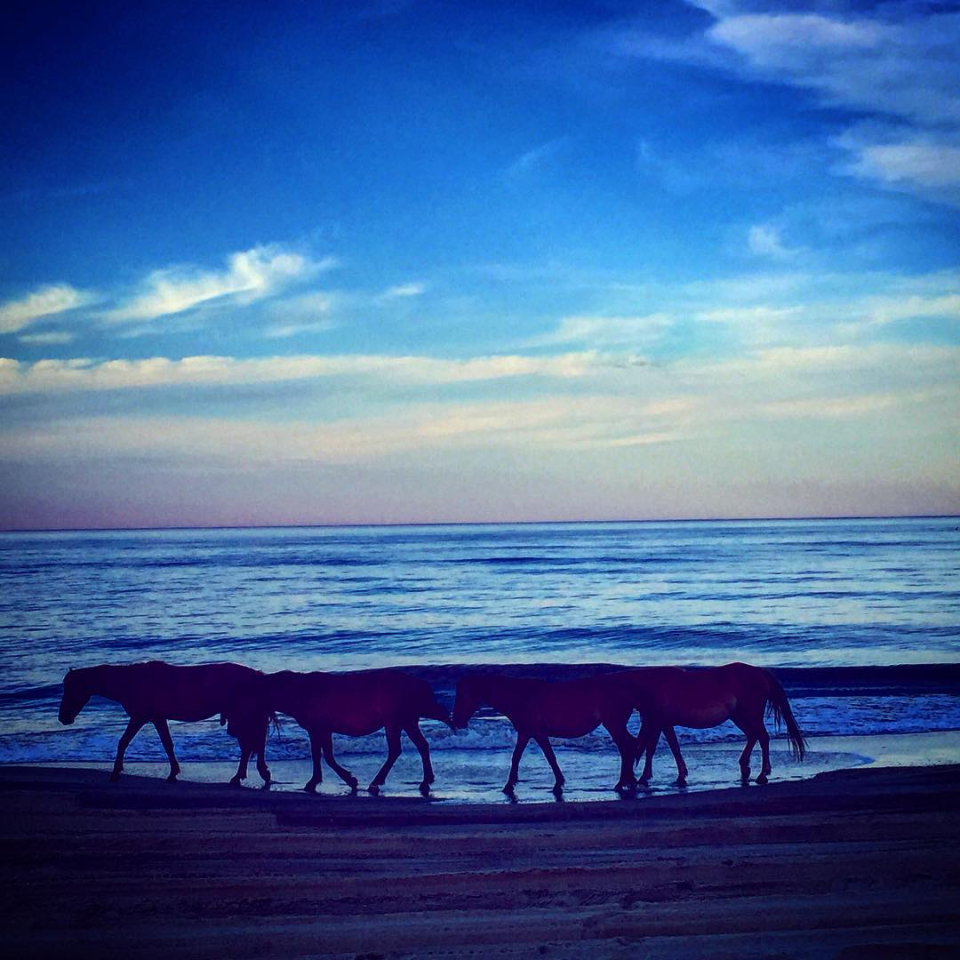 Playa Carova, Carolina del Norte