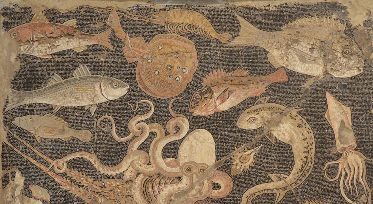 Entre la miríada de peces que habitan el hermoso Mosaico de la vida marina de Pompeya se puede localizar una especie de raya eléctrica (_Torpedo torpedo_) en la parte central superior. <a href="https://commons.wikimedia.org/wiki/File:Fish_Catalogue_mosaic_,_Naples_National_Archaeological_Museum.jpg" rel="nofollow noopener" target="_blank" data-ylk="slk:Carole Raddato / Wikimedia Commons;elm:context_link;itc:0;sec:content-canvas" class="link ">Carole Raddato / Wikimedia Commons</a>