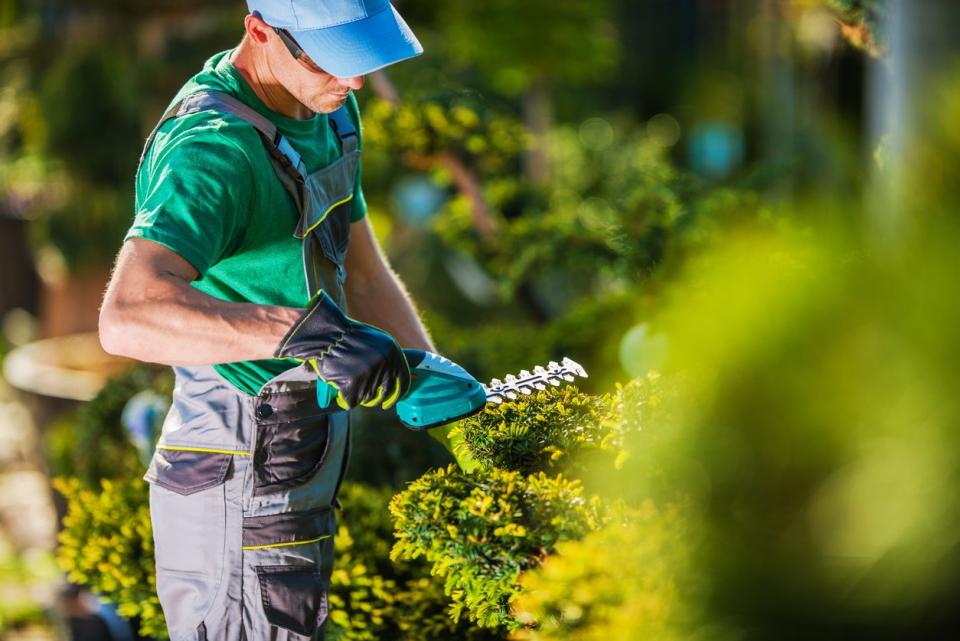 A worker in a green shirt and overalls uses a tool to trim hedges. 