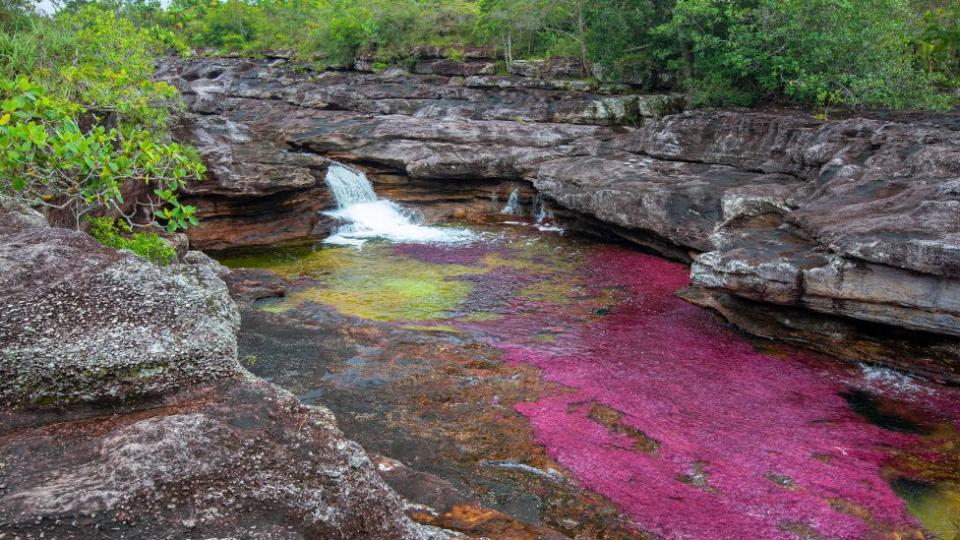 Caño Cristales