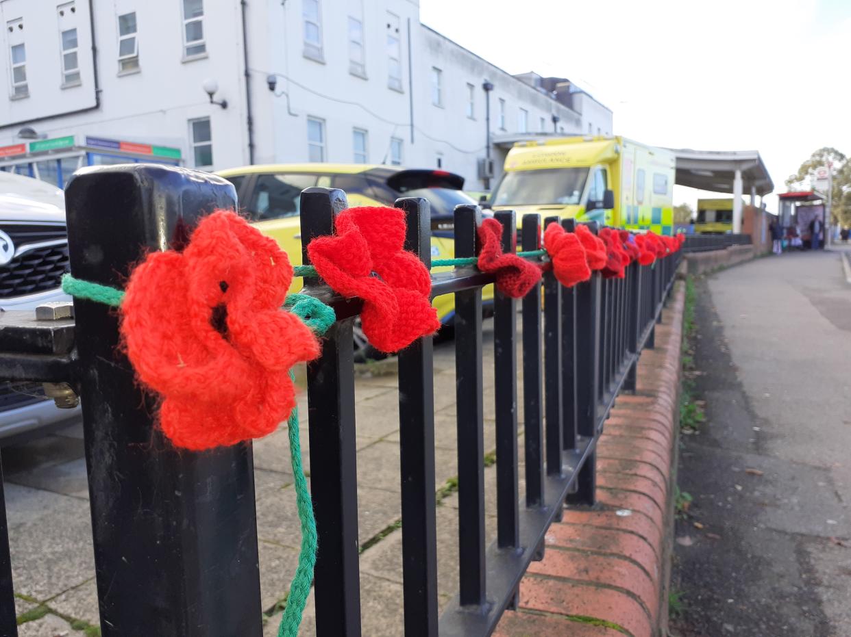 Poppies on a fence