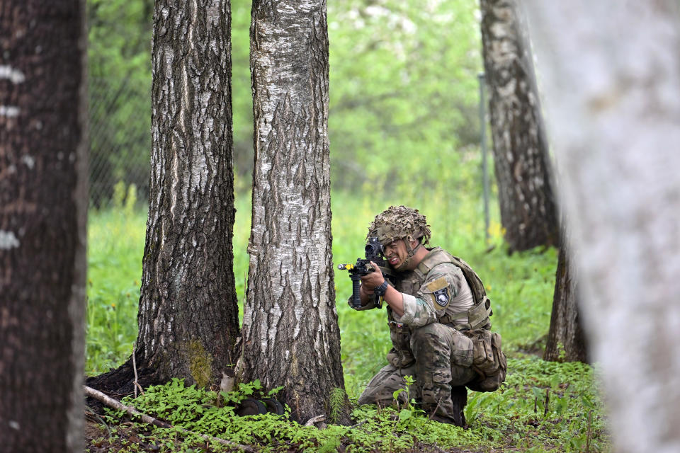 A soldier in a camouflage helmet from the Royal Welsh Battlegroup kneels in a green wood and looks through the scope of his rifle. 