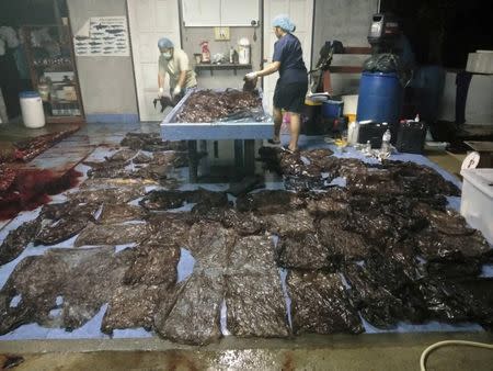 Up to 80 plastic bags extracted from within a whale are seen in Songkhla, Thailand, in this still image from a June 1, 2018 video footage by Thailand's Department of Marine and Coastal Resources. Thailand's Department of Marine and Coastal Resources/Social Media/via REUTERS