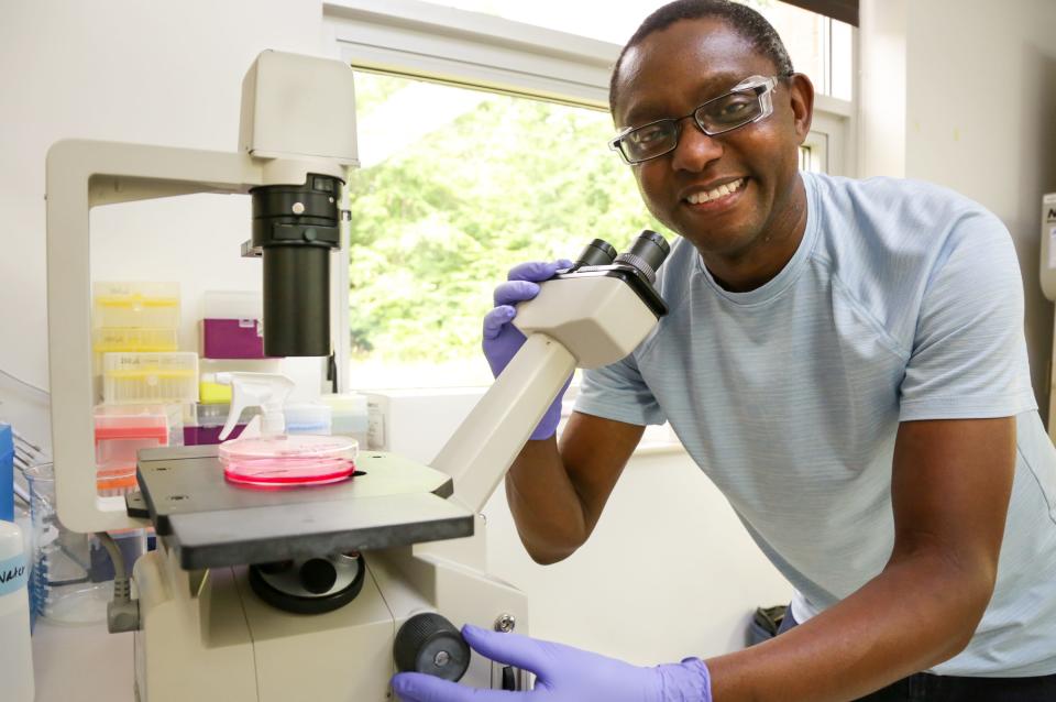 Geneticist Wellington Muchero leads the research team at ORNL that has linked the PAN protein domain to tumor growth in humans and plant-microbe interactions in plants.