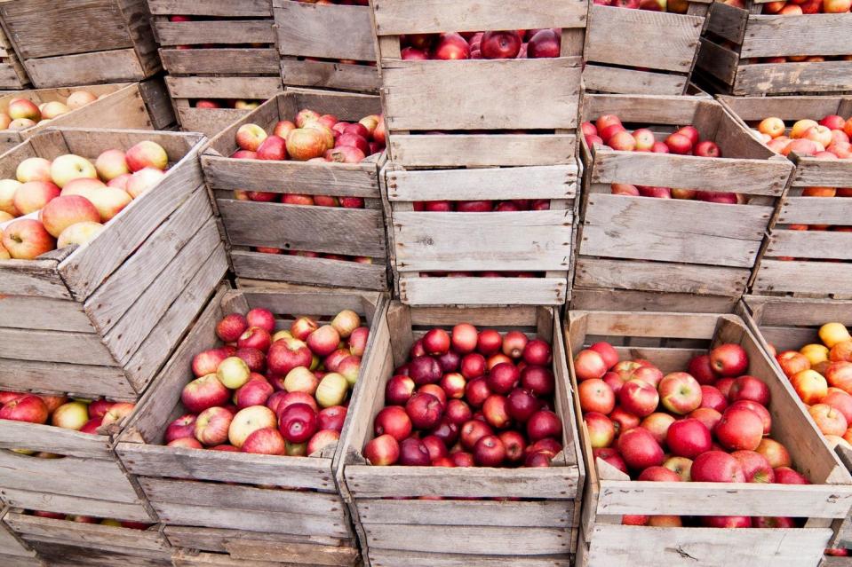 9) Aamodt's Apple Farm, Minnesota