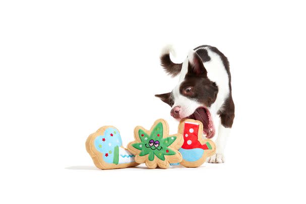 Cannabis-Themed Dog Toys