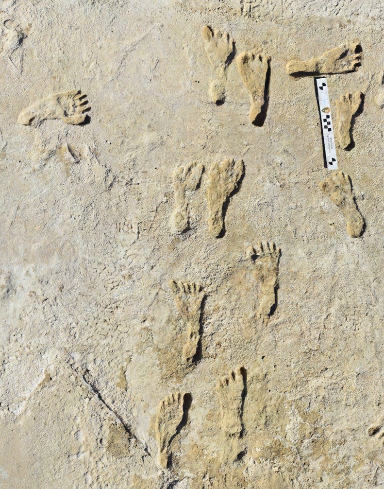 Aerial of at least two fossilized human footprint tracks.