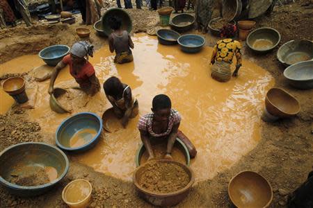 Prospectors pan for gold at a new gold mine found in a cocoa farm near the town of Bouafle in western Ivory Coast March 18, 2014. REUTERS/Luc Gnago